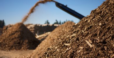 énergie renouvelable : la biomasse